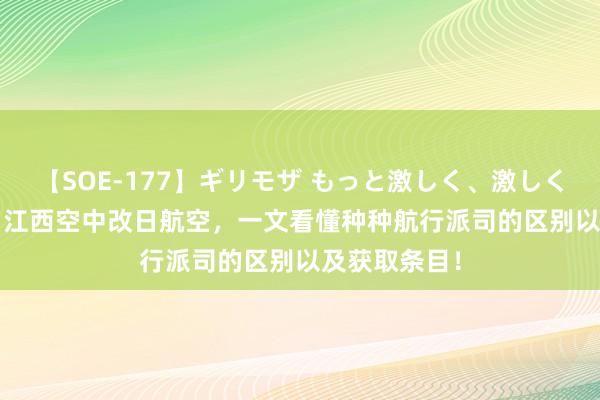 【SOE-177】ギリモザ もっと激しく、激しく突いて Ami 江西空中改日航空，一文看懂种种航行派司的区别以及获取条目！