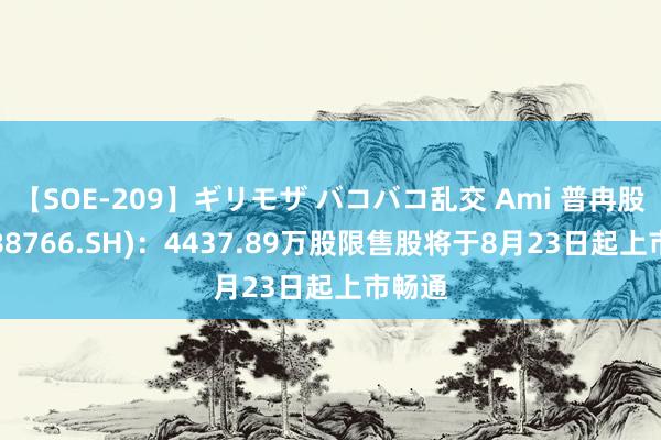 【SOE-209】ギリモザ バコバコ乱交 Ami 普冉股份(688766.SH)：4437.89万股限售股将于8月23日起上市畅通