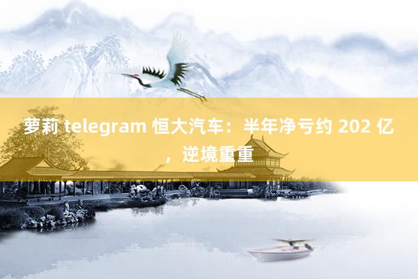 萝莉 telegram 恒大汽车：半年净亏约 202 亿，逆境重重