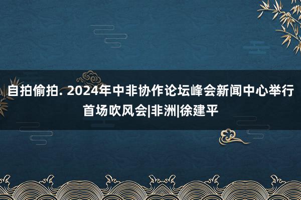 自拍偷拍. 2024年中非协作论坛峰会新闻中心举行首场吹风会|非洲|徐建平