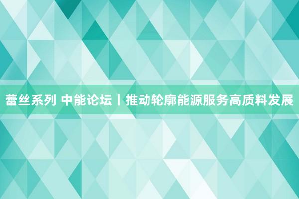 蕾丝系列 中能论坛丨推动轮廓能源服务高质料发展