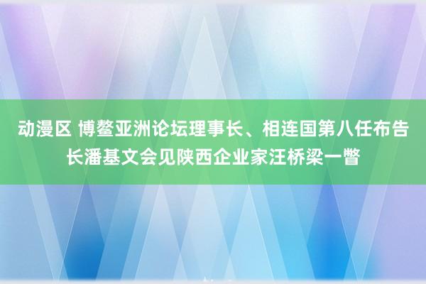 动漫区 博鳌亚洲论坛理事长、相连国第八任布告长潘基文会见陕西企业家汪桥梁一瞥