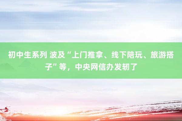 初中生系列 波及“上门推拿、线下陪玩、旅游搭子”等，中央网信办发轫了